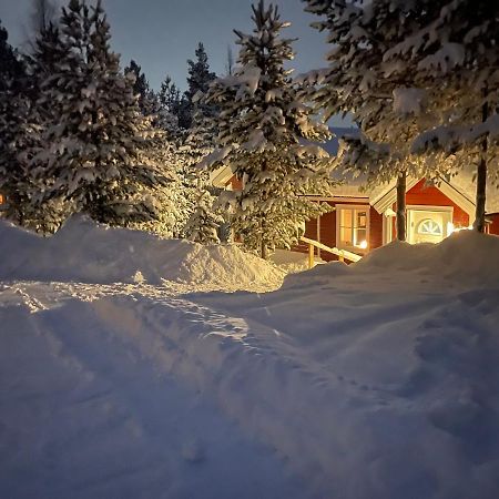 Mountain Cabin Лофсдален Екстер'єр фото
