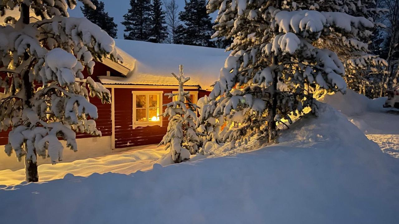 Mountain Cabin Лофсдален Екстер'єр фото