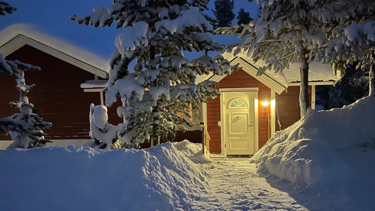 Mountain Cabin Лофсдален Екстер'єр фото